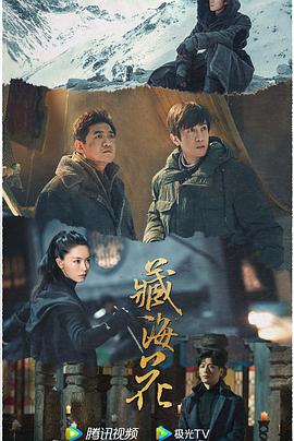 在线免费青青草 - 鲍鱼AV海报